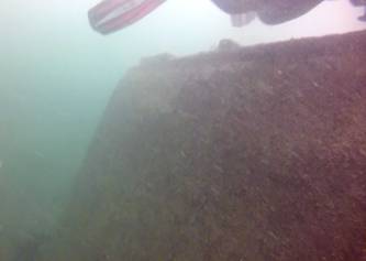 downstream-side-of-plant-wall