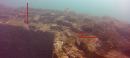 plant-wall-SE-corner web with directions