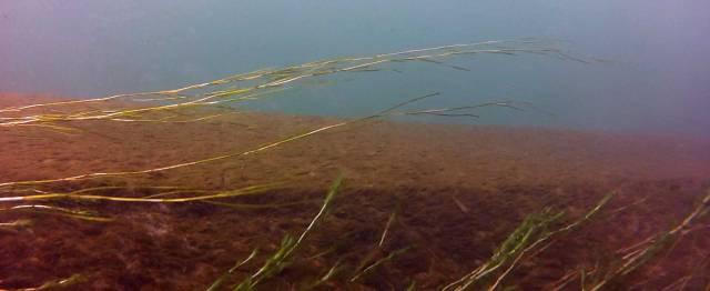 04-the-narrow-rim-web